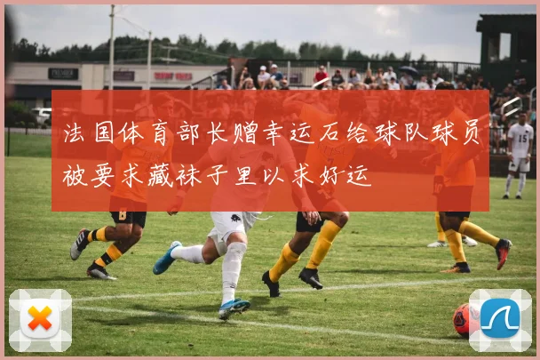法国体育部长赠幸运石给球队球员被要求藏袜子里以求好运