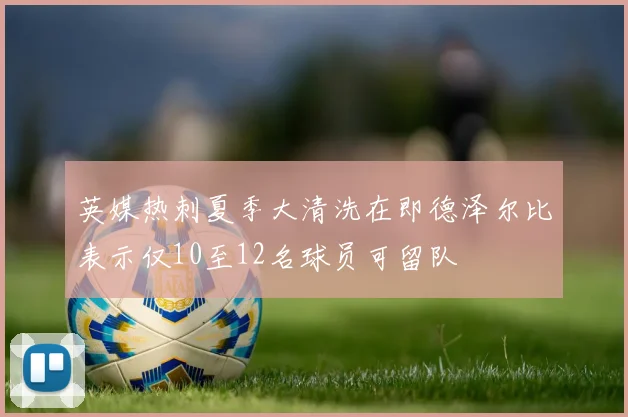 英媒热刺夏季大清洗在即德泽尔比表示仅10至12名球员可留队