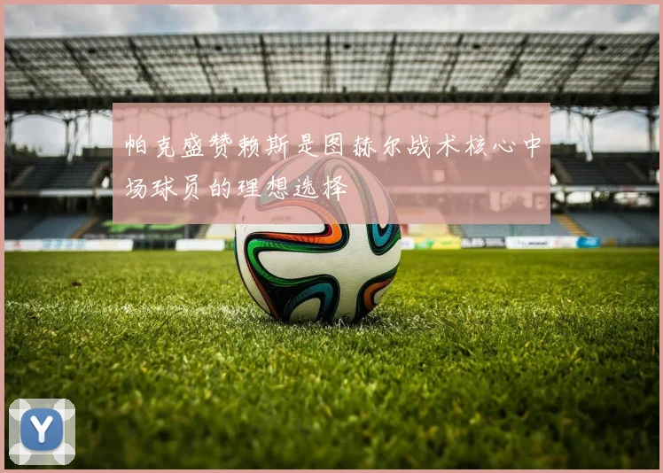 帕克盛赞赖斯是图赫尔战术核心中场球员的理想选择